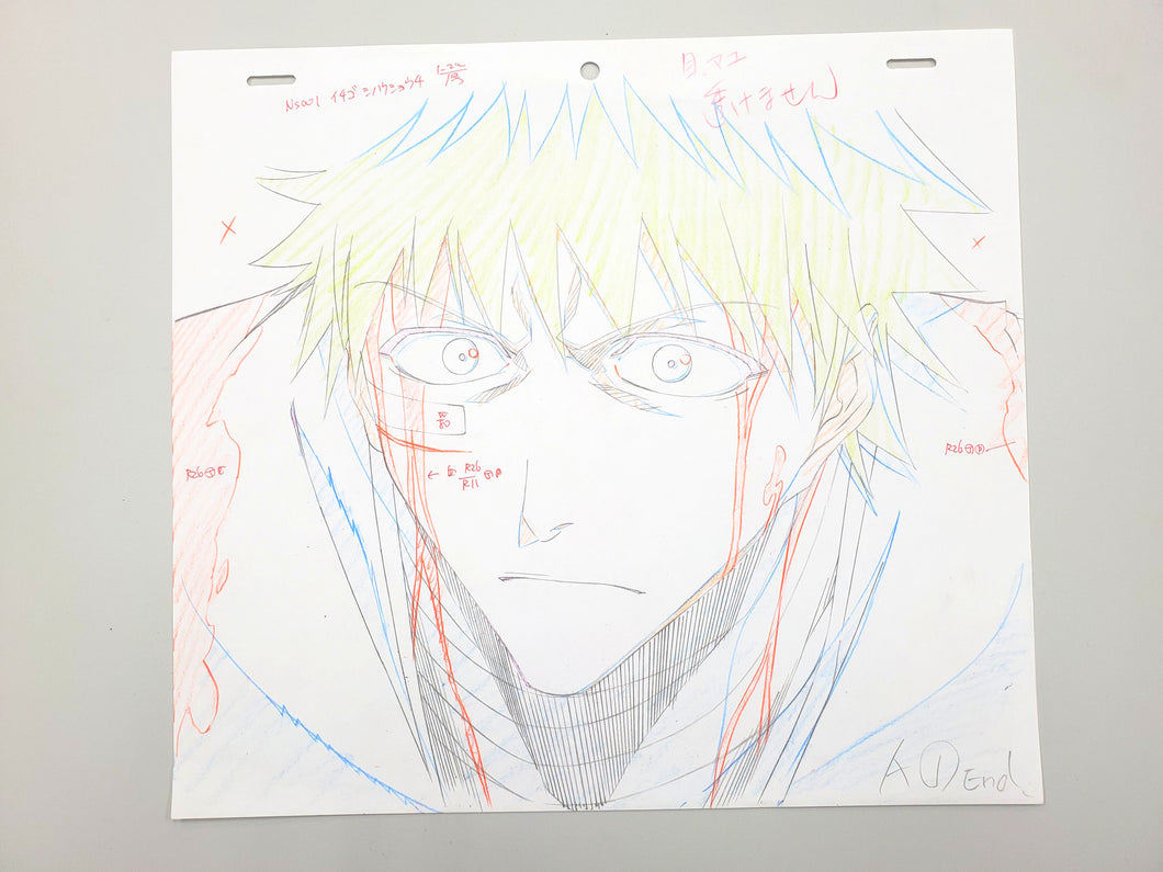 BLEACH Kurosaki Ichigo 2